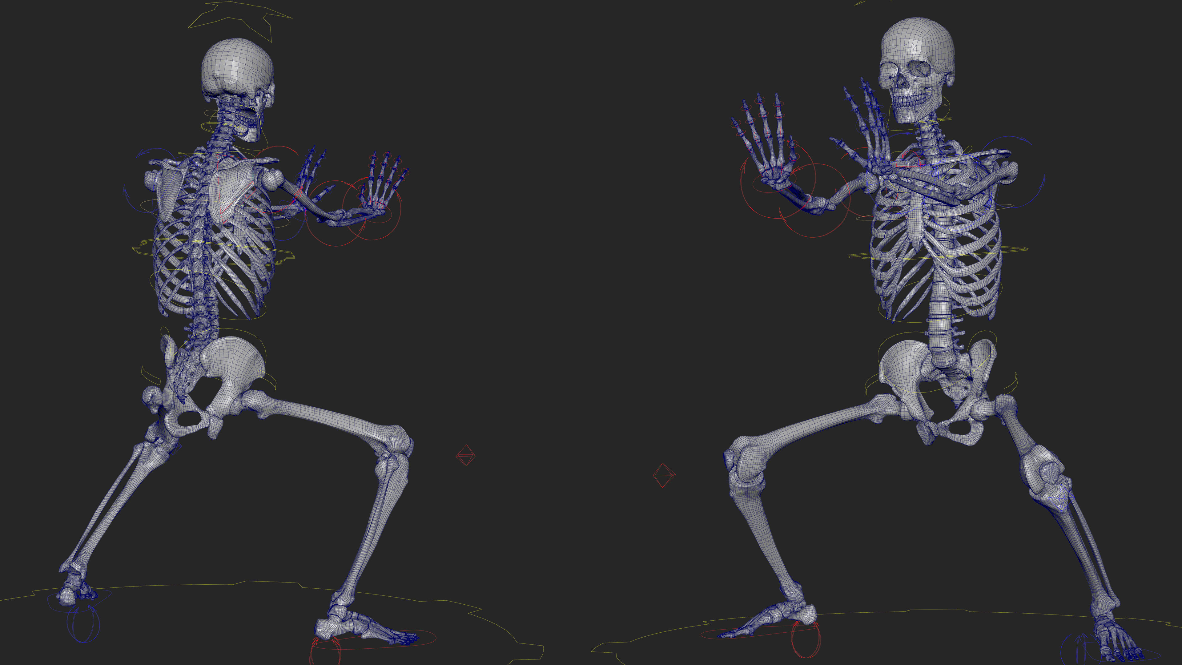 Skeleton Rigged - Skeleton Rig - Skeletal System Low-poly 3D model_62