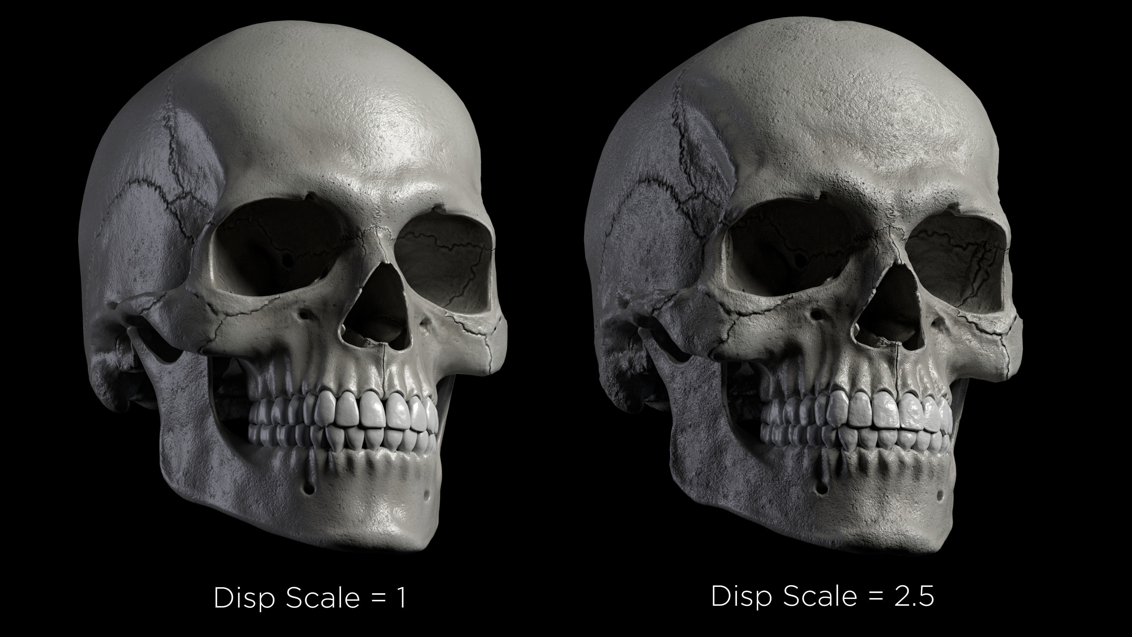 Skeleton Rigged - Skeleton Rig - Skeletal System Low-poly 3D model_36