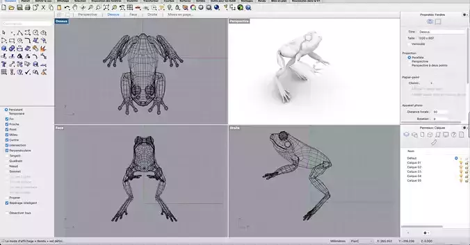 Frog Grenouille Crapaud 3D model
