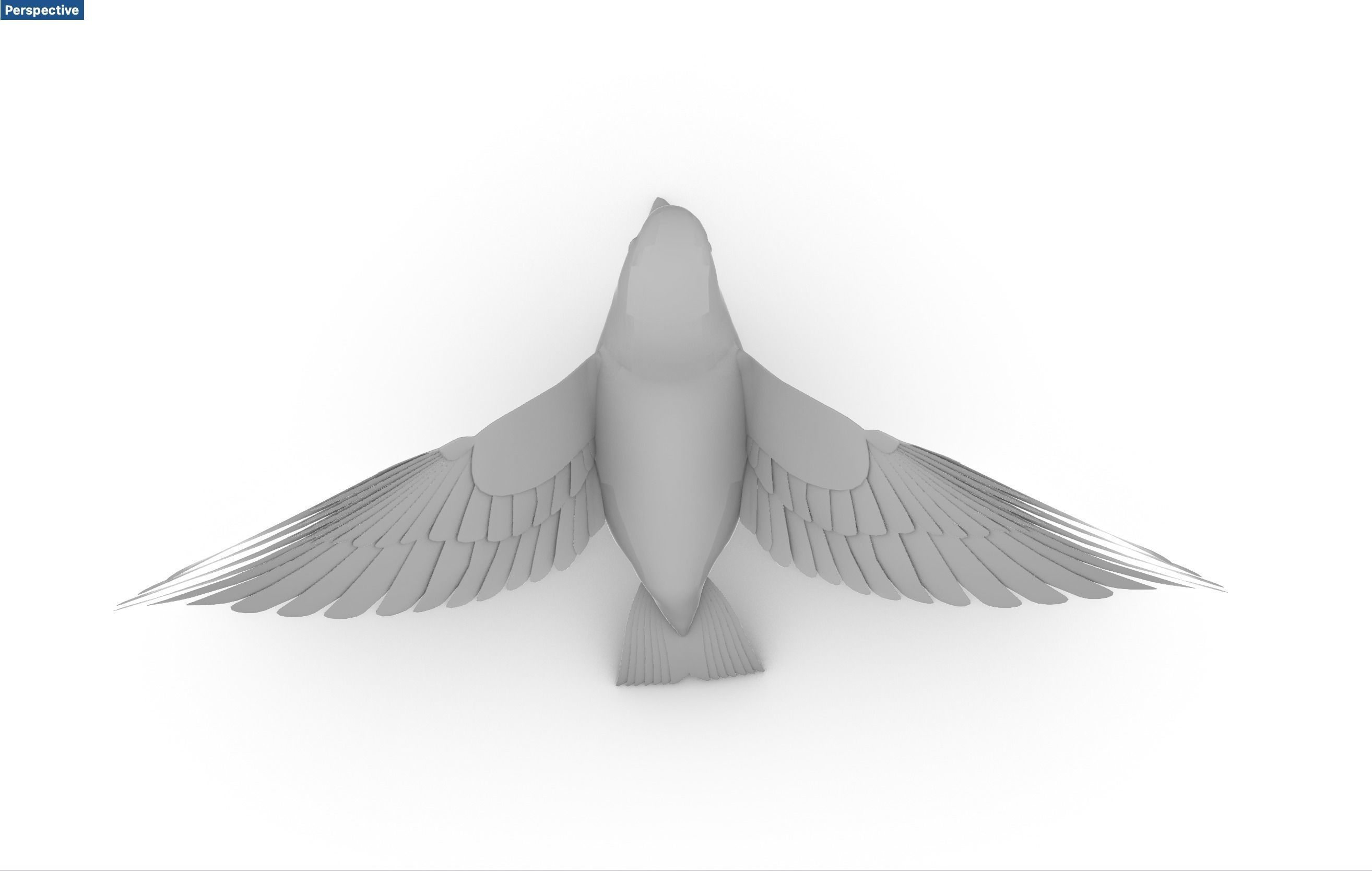 Blue bird Sparrow Rossignol Moineau 3D model_5