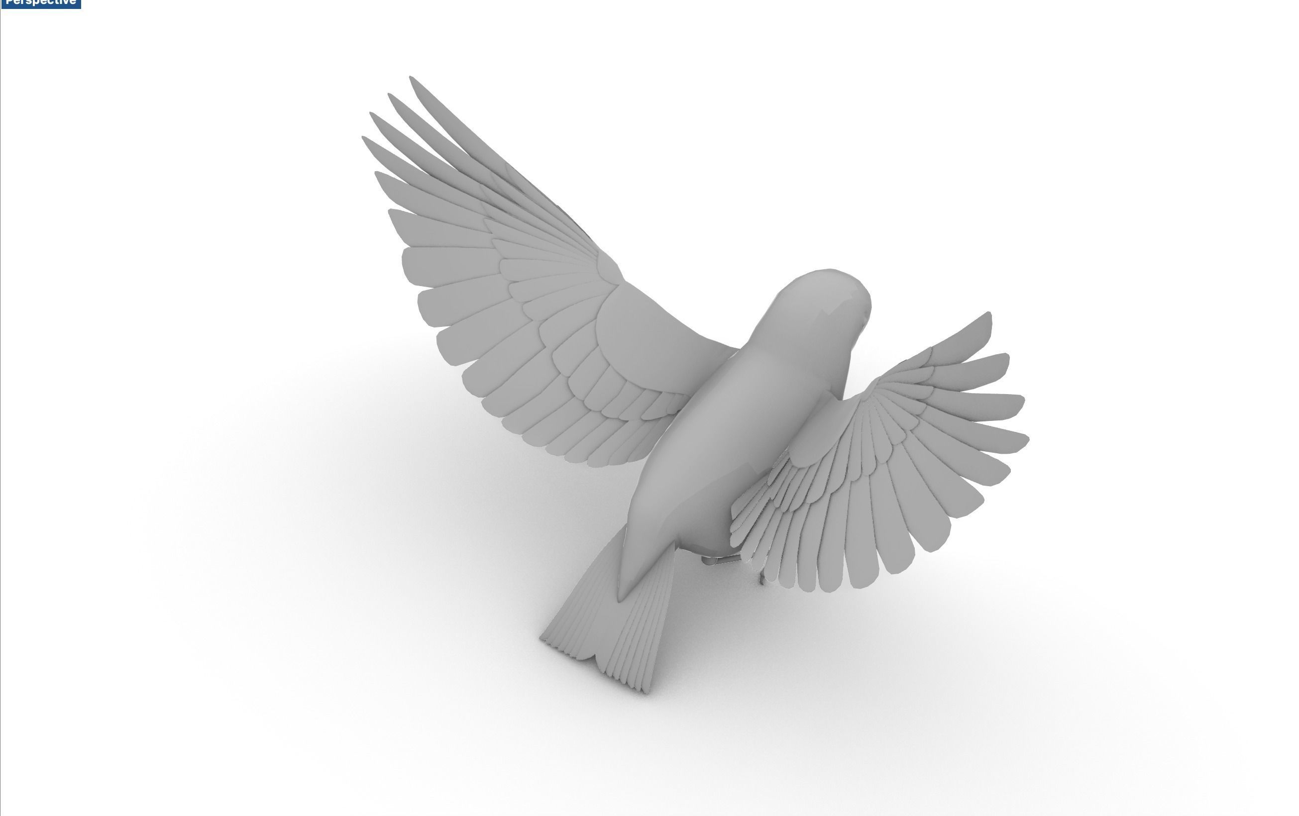Blue bird Sparrow Rossignol Moineau 3D model_3