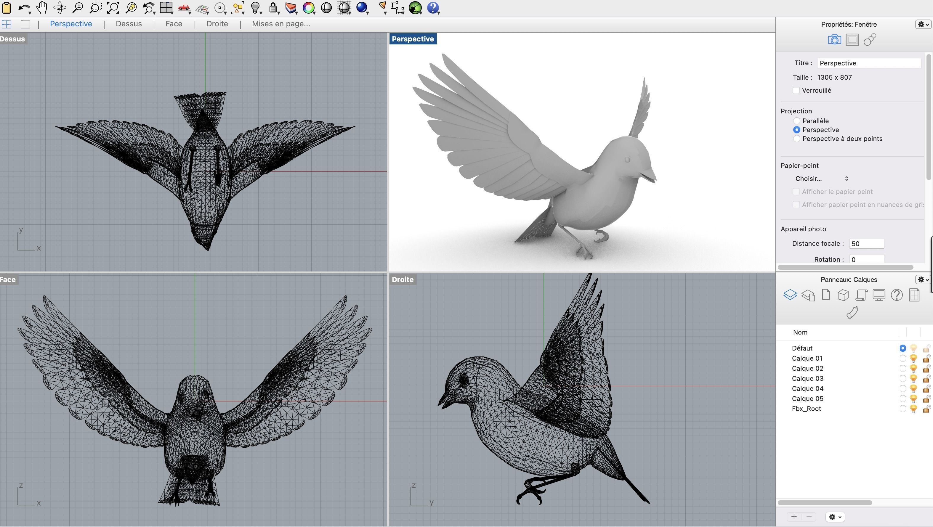 Blue bird Sparrow Rossignol Moineau 3D model_1