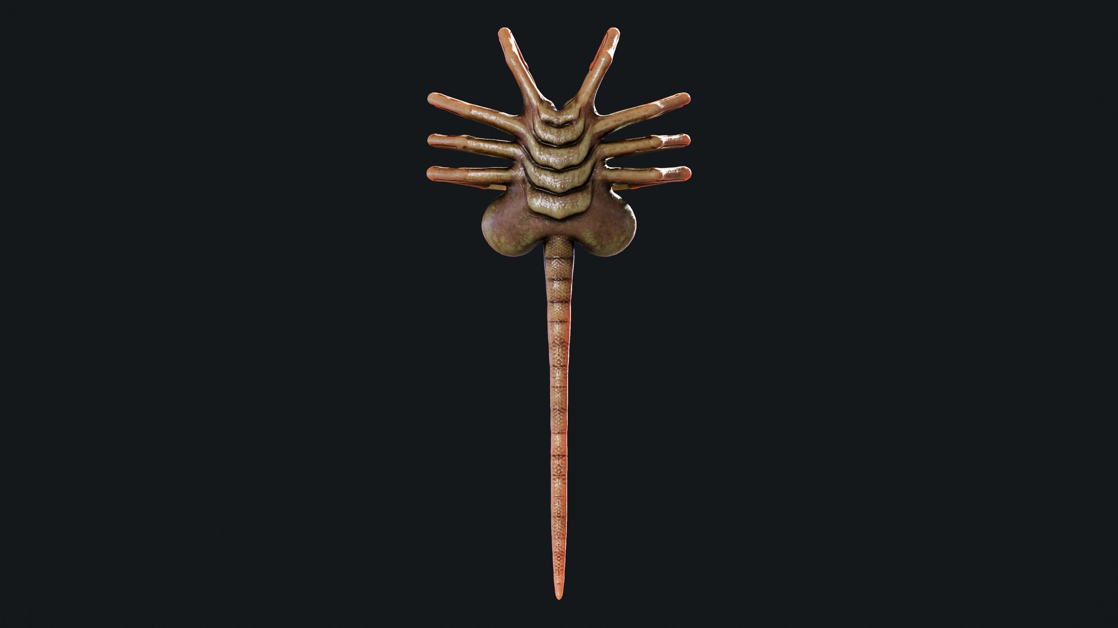 FaceHugger FanArt 3D model_5