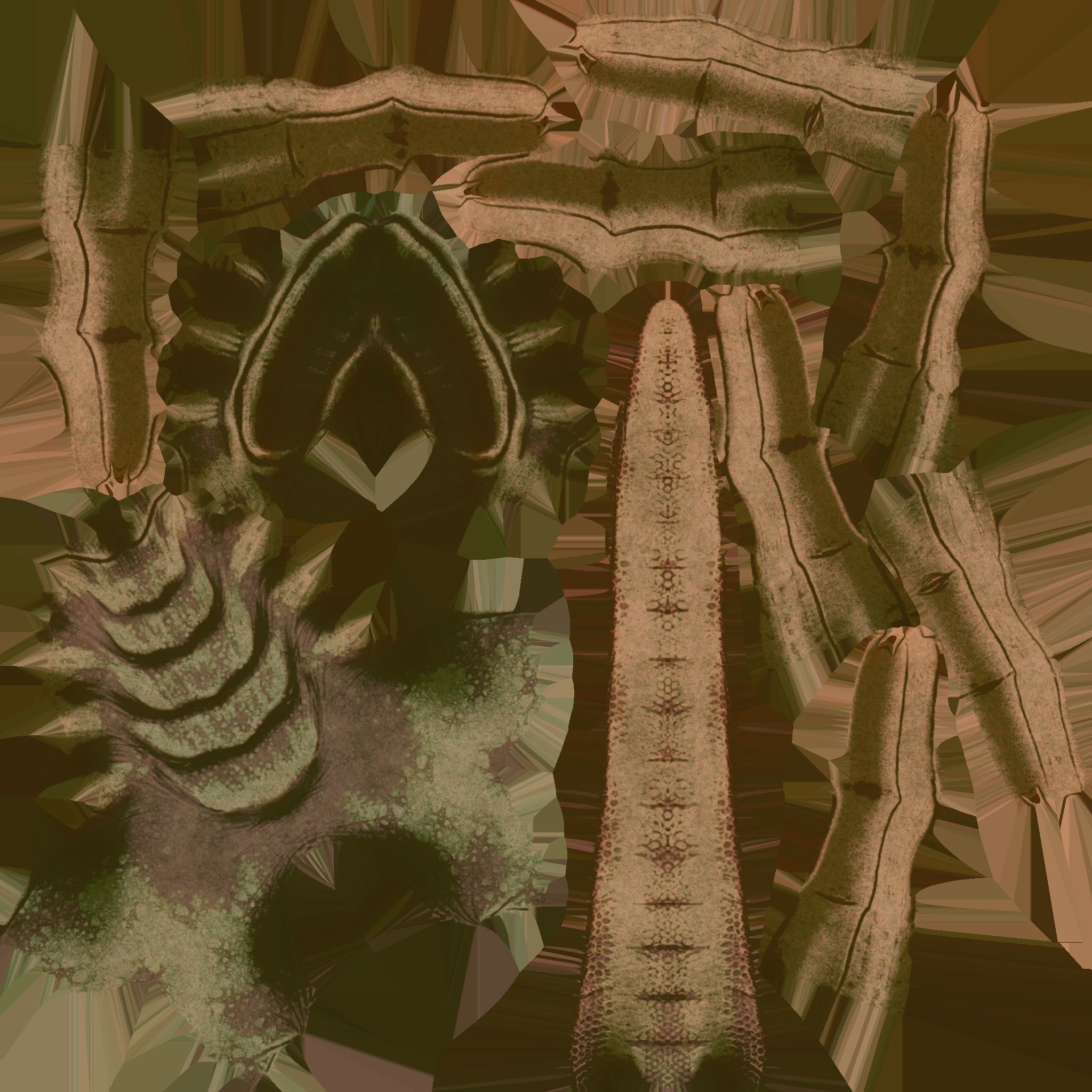 FaceHugger FanArt 3D model_8