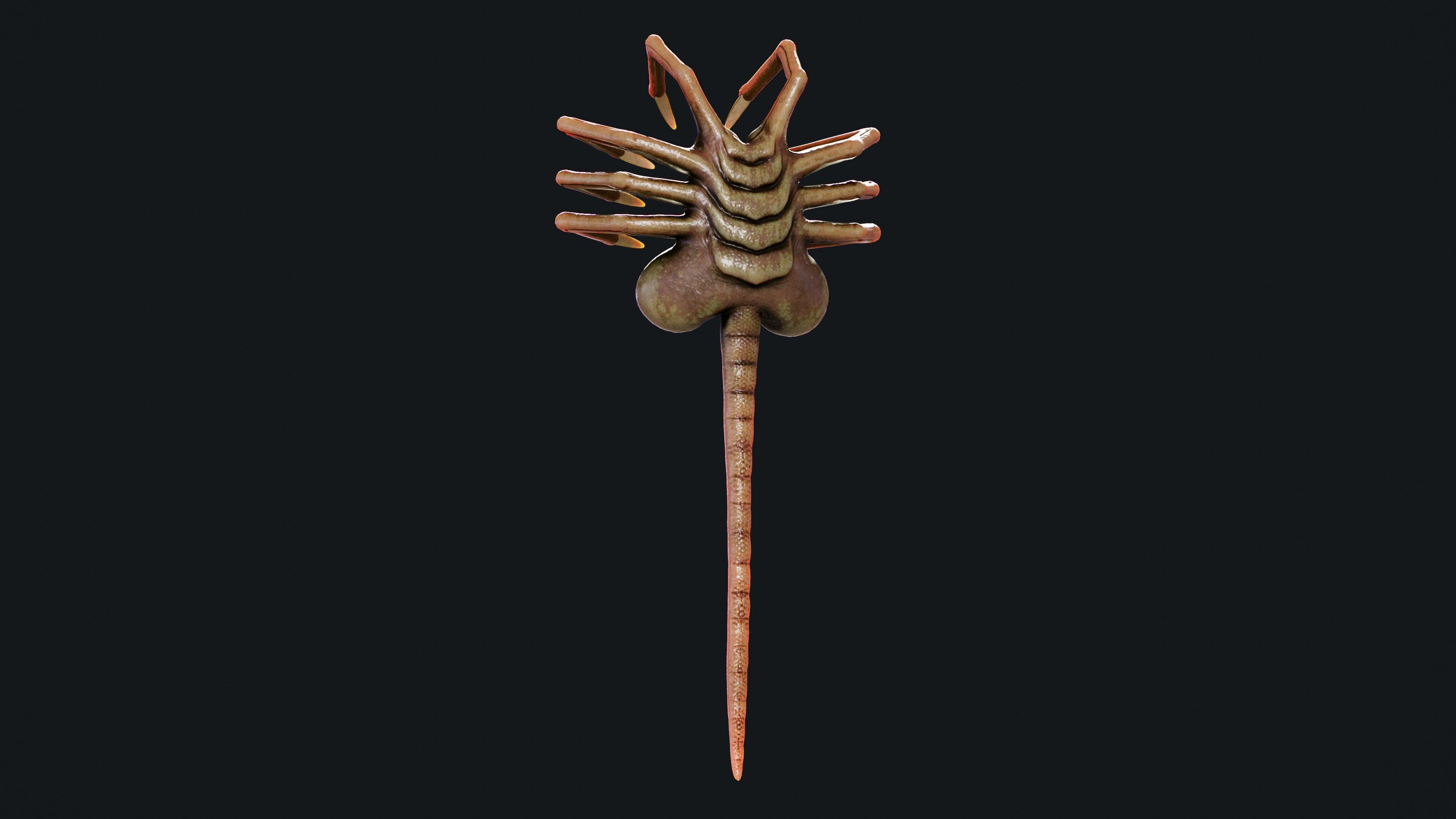 FaceHugger FanArt 3D model_2