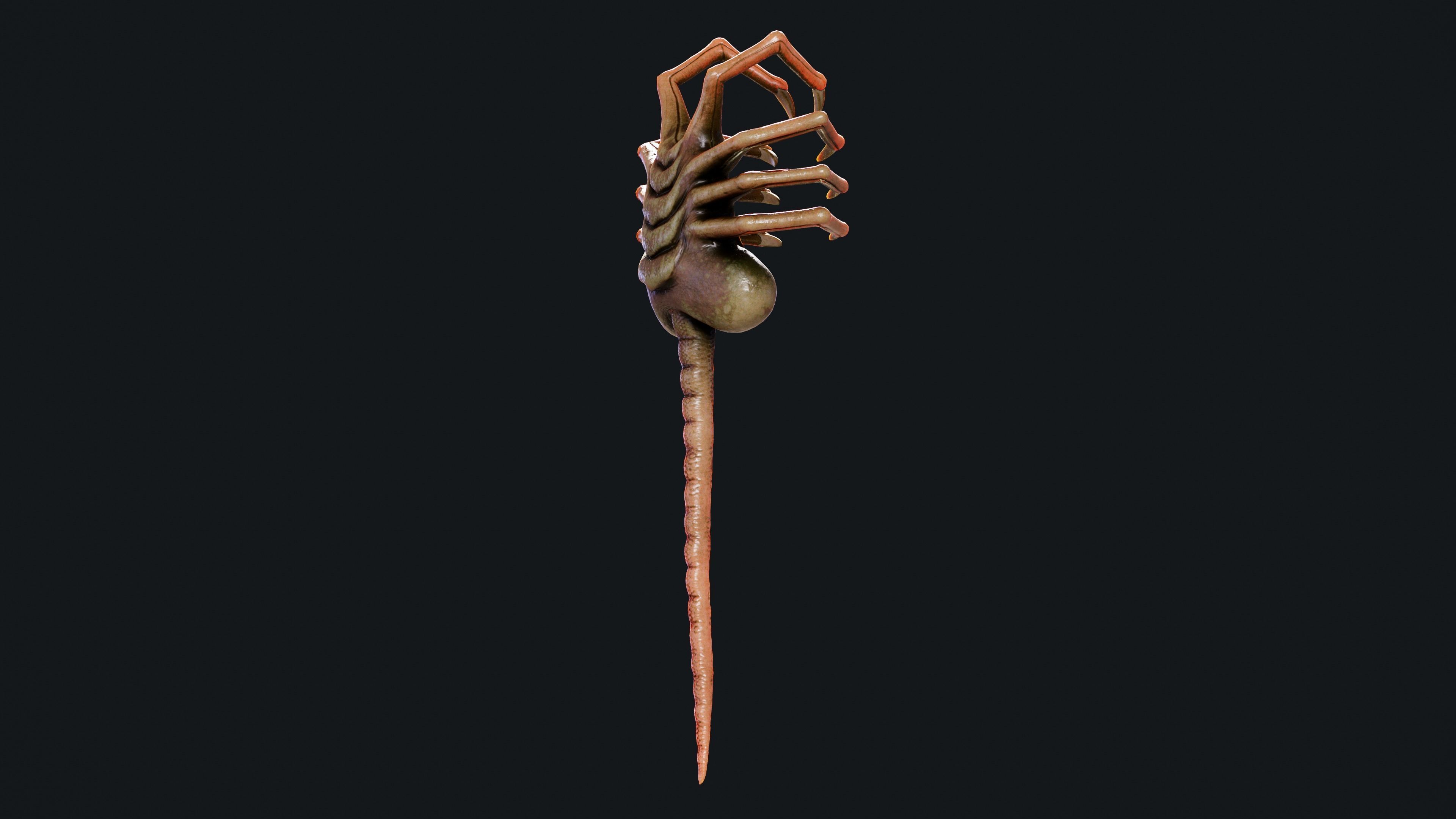 FaceHugger FanArt 3D model_4