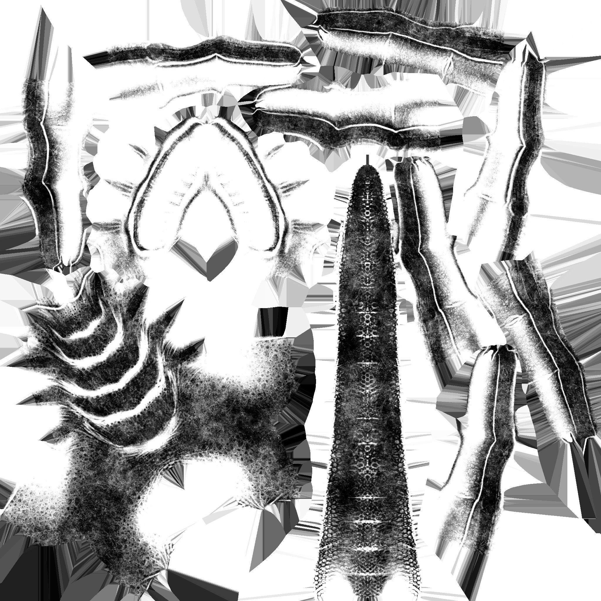 FaceHugger FanArt 3D model_6