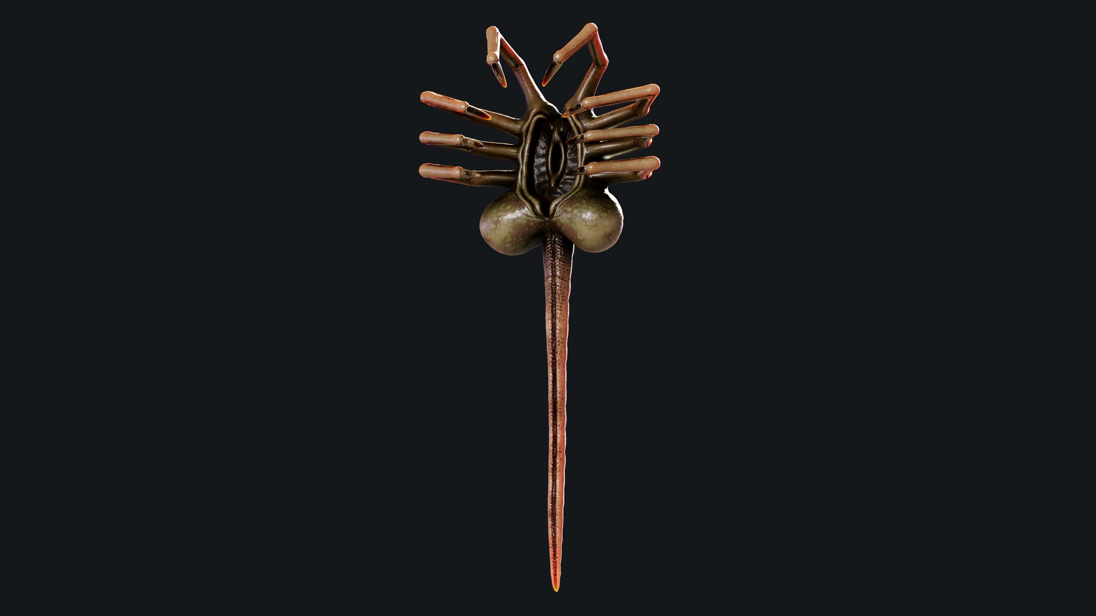 FaceHugger FanArt 3D model_3