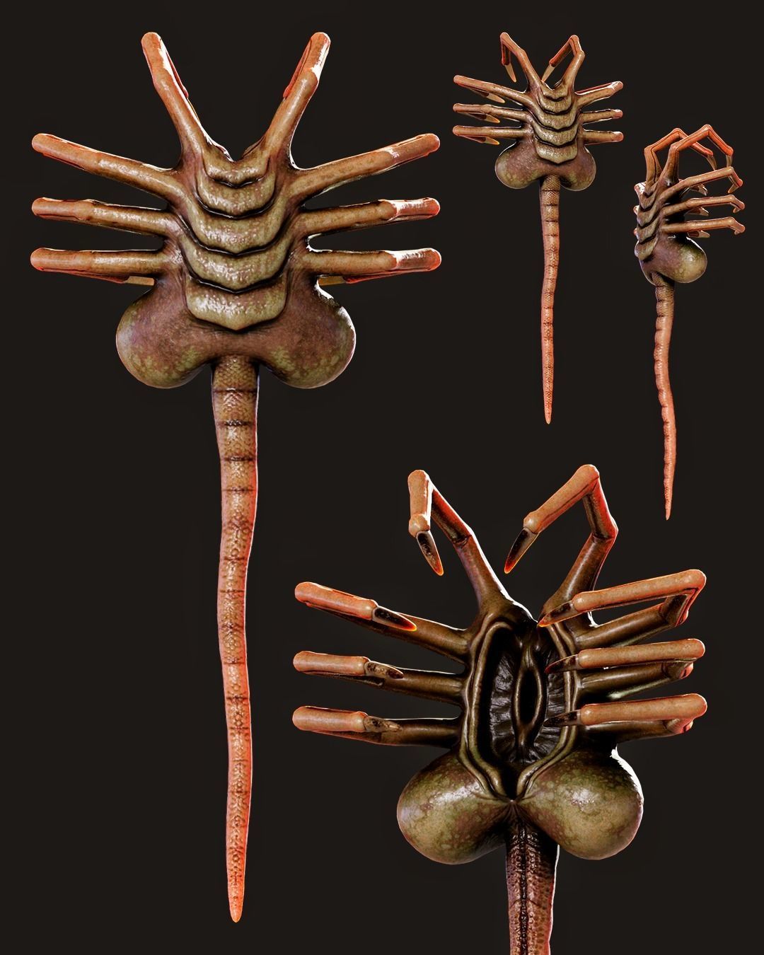 FaceHugger FanArt 3D model CGTrader