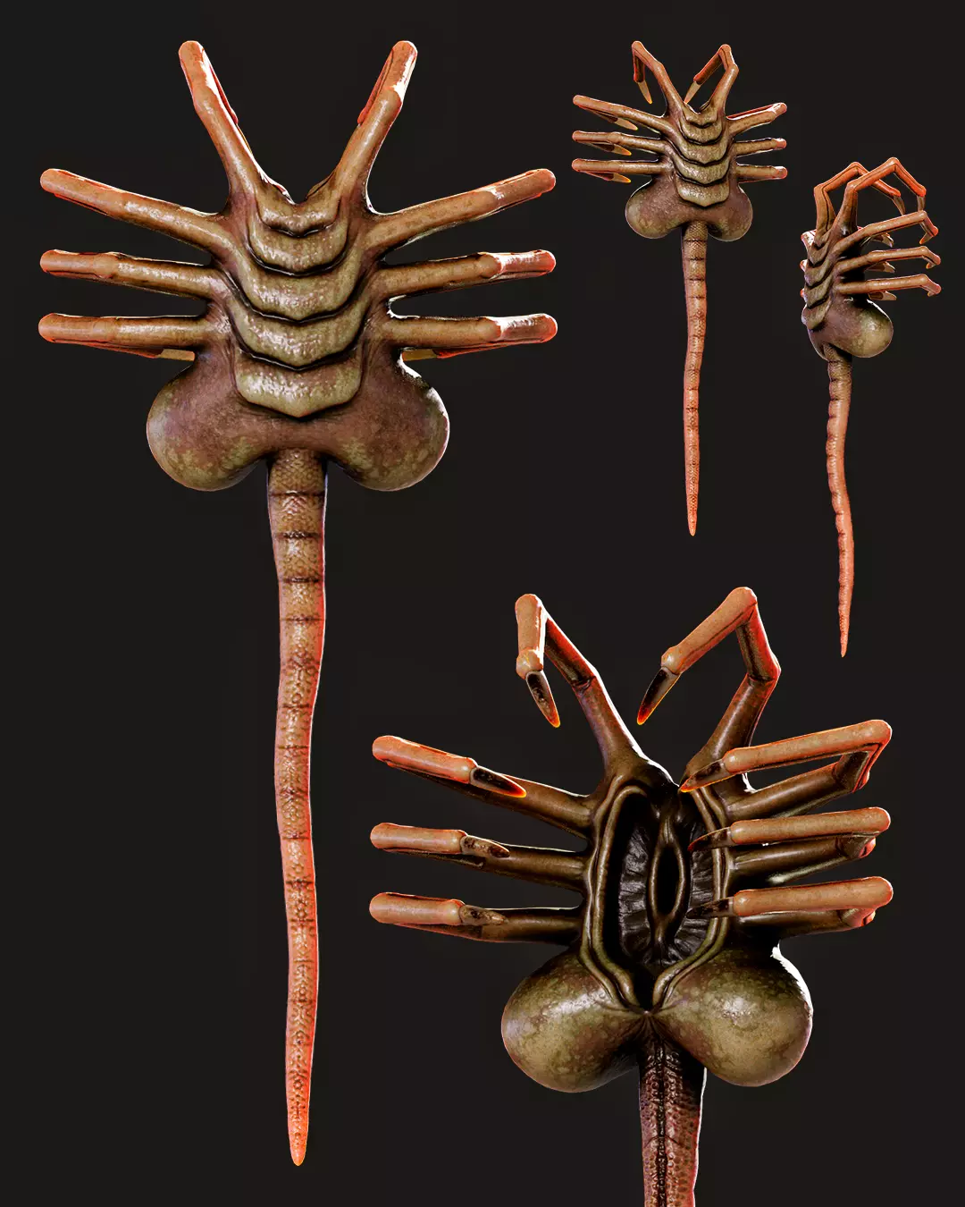 FaceHugger FanArt 3D model_0