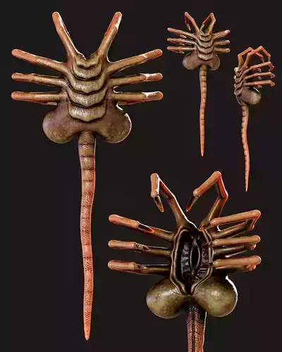 FaceHugger FanArt 3D model