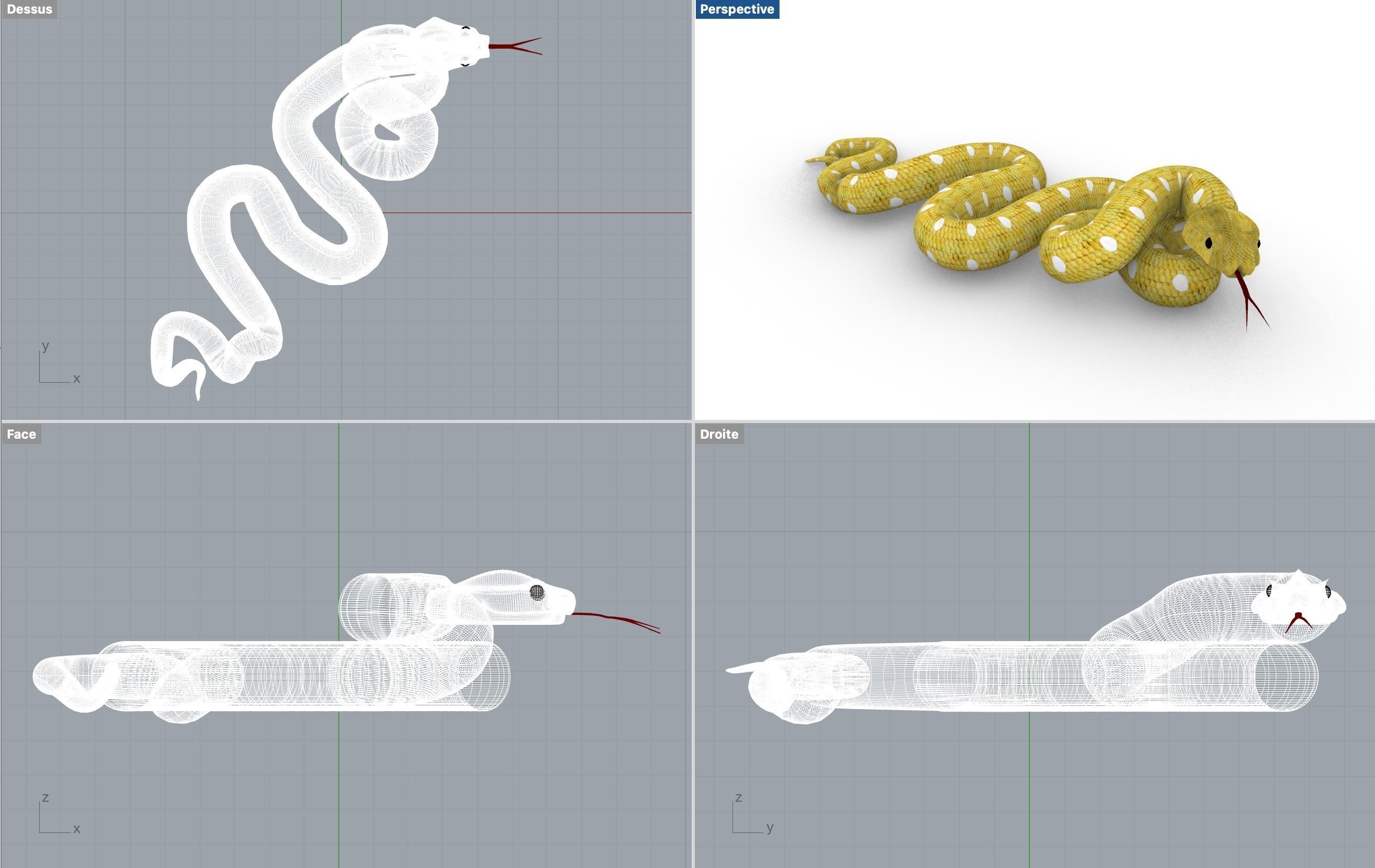 Snake yellow Serpent jaune 3D model_1