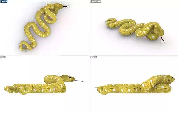 Snake yellow Serpent jaune