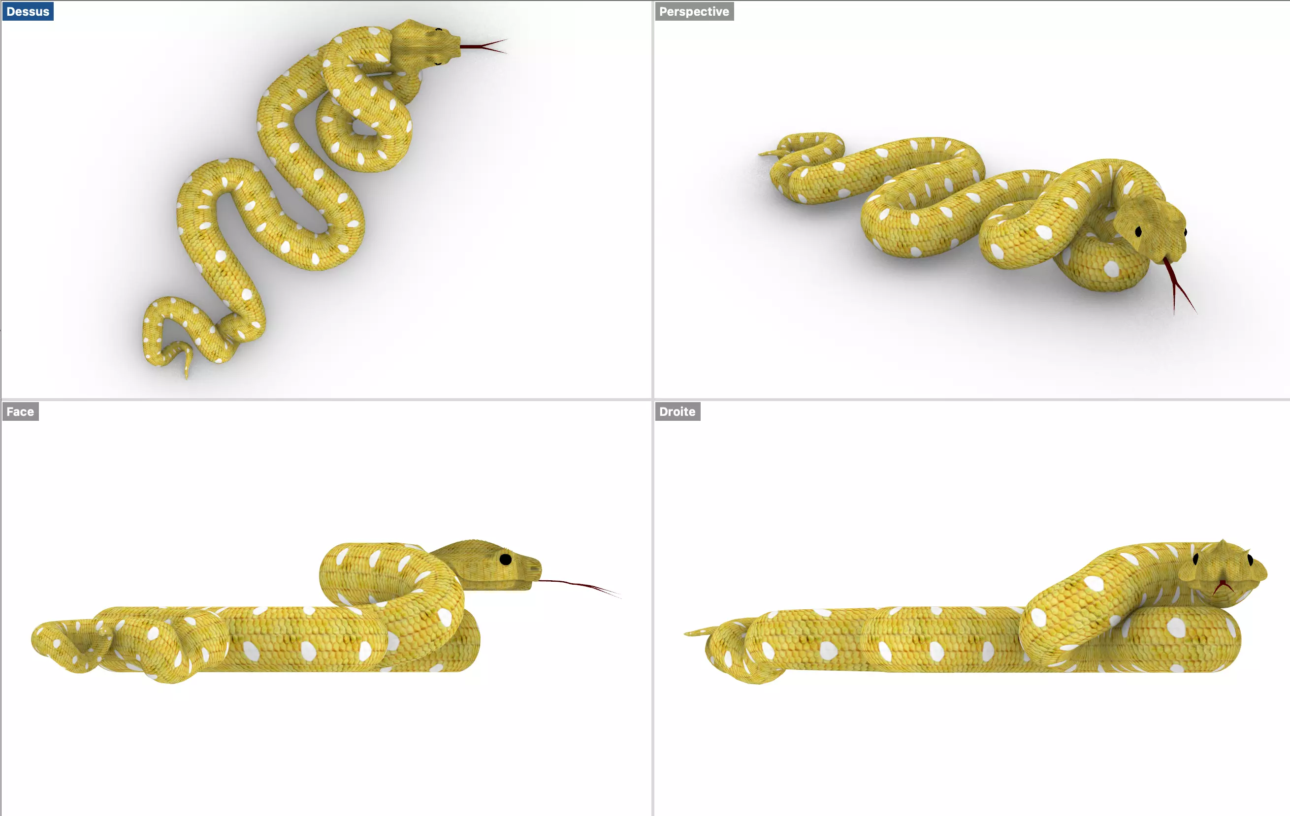 Snake yellow Serpent jaune 3D model_0