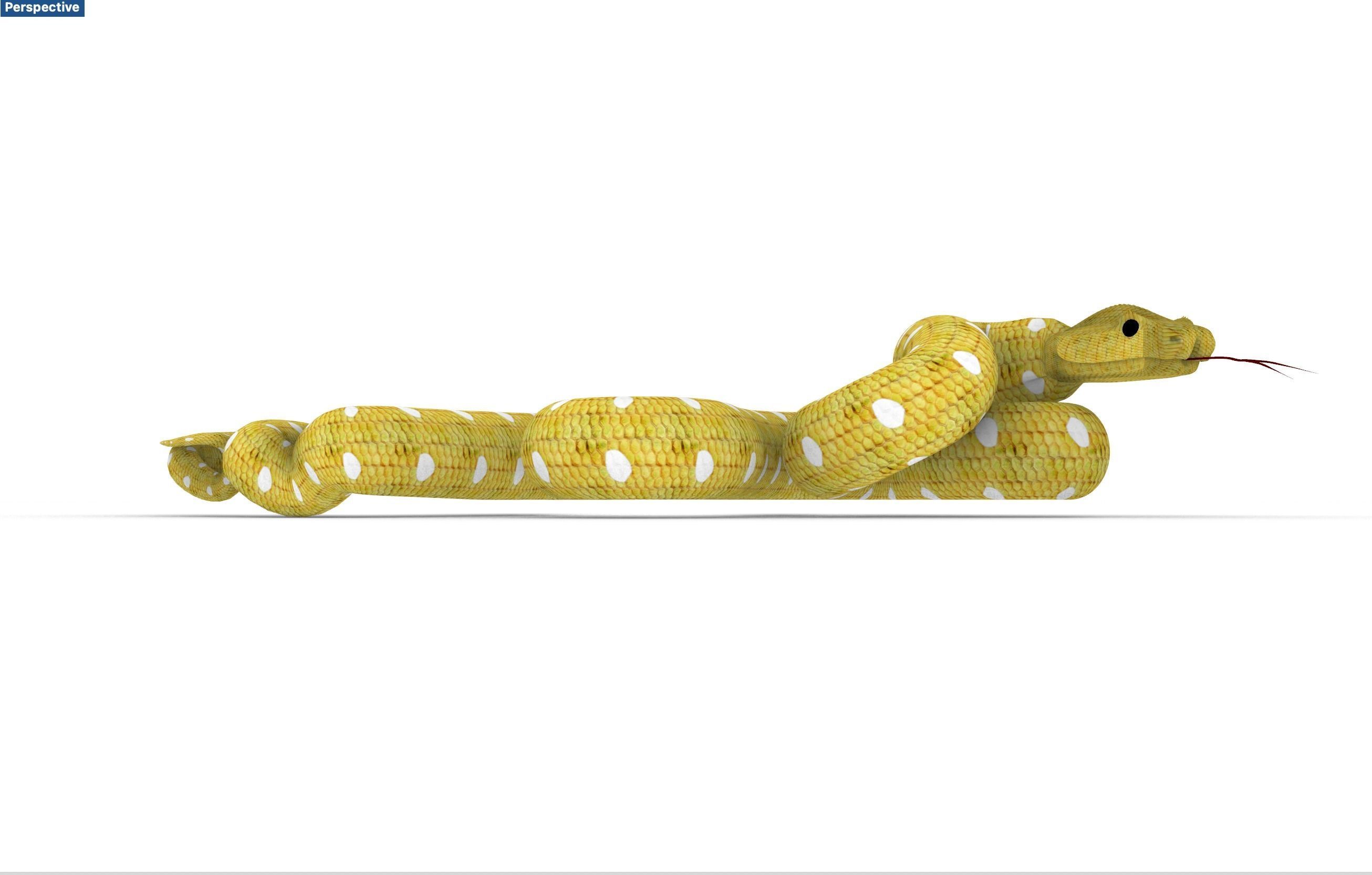 Snake yellow Serpent jaune 3D model_5
