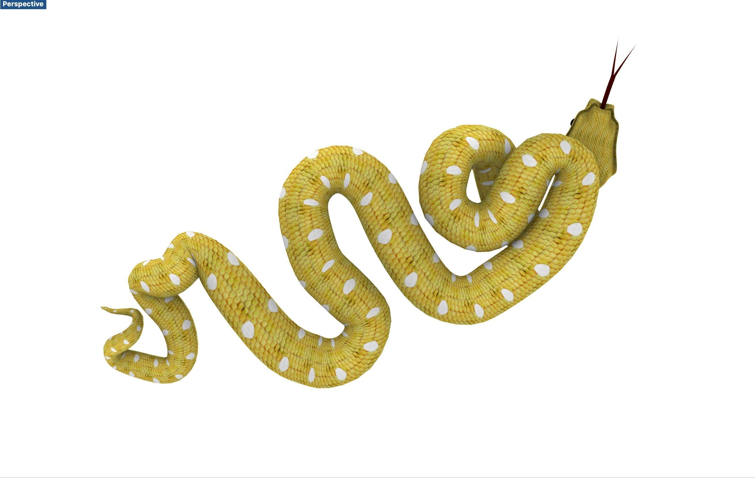 Snake yellow Serpent jaune 3D model_4