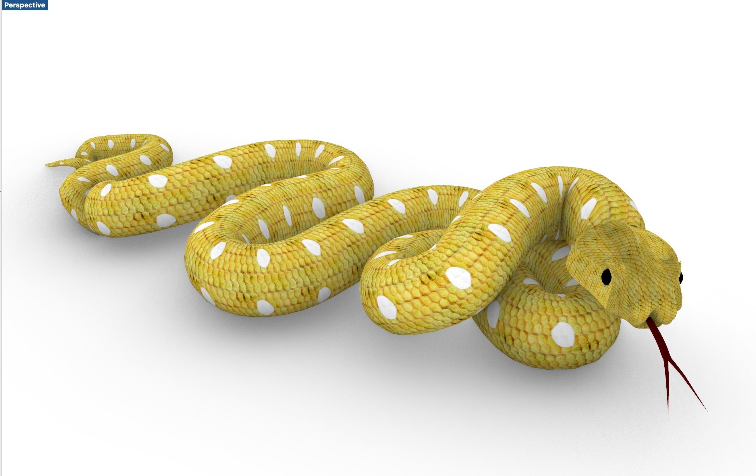 Snake yellow Serpent jaune 3D model_3