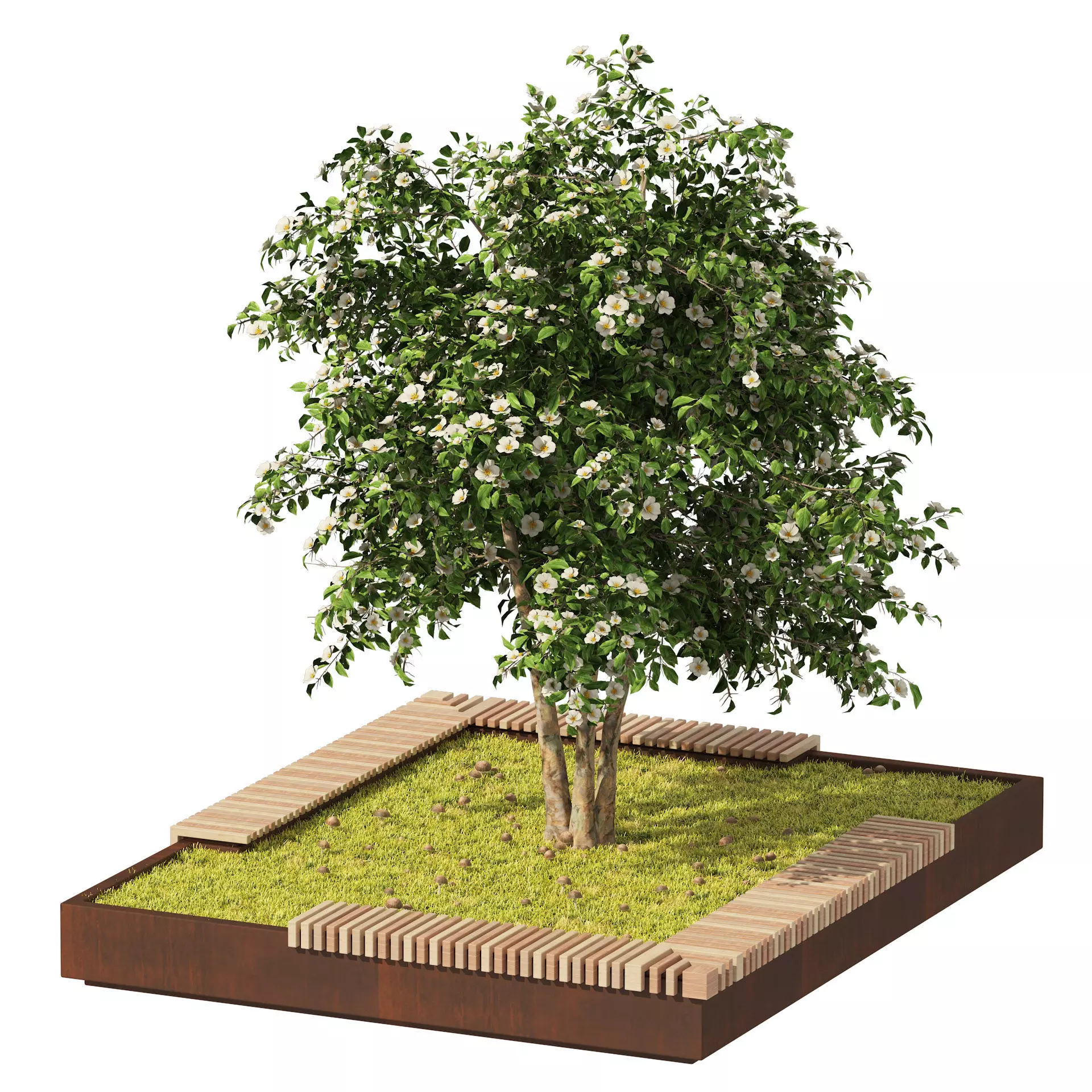 Landscape Garden Bed with spring Korean Stewartia Tree 3D model