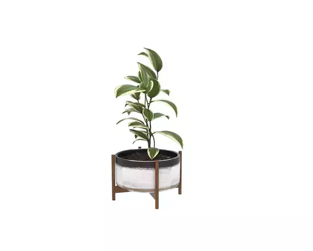 A wooden frame supports a flowerpot