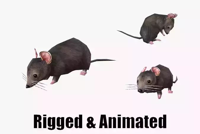 low-poly animated mouse rat  Low-poly 3D model