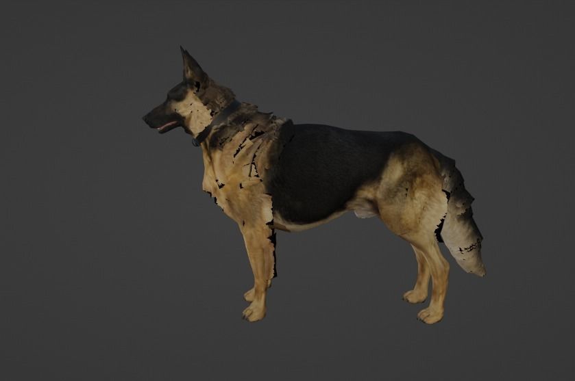 German Shepherd  Low-poly 3D model_9