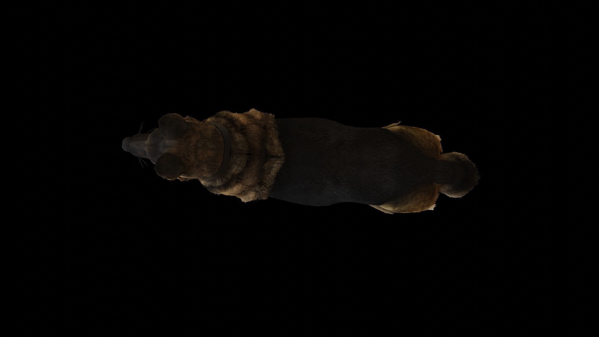 German Shepherd  Low-poly 3D model_5