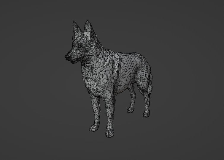 German Shepherd  Low-poly 3D model_12