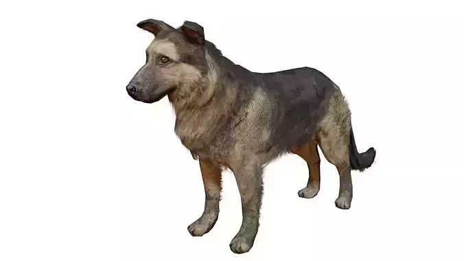 Low Poly Dog last of us