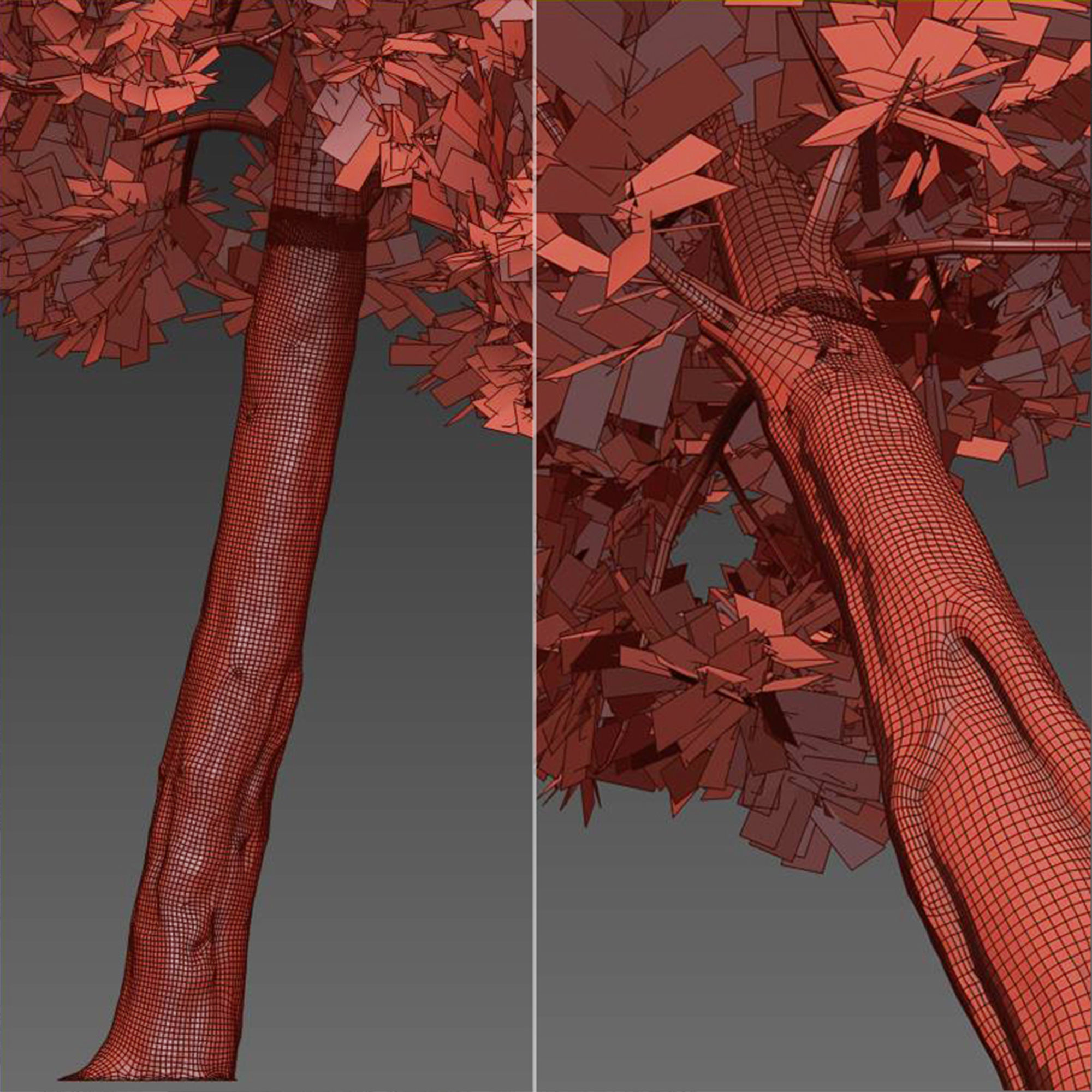 cypress tree 6 3D model_6