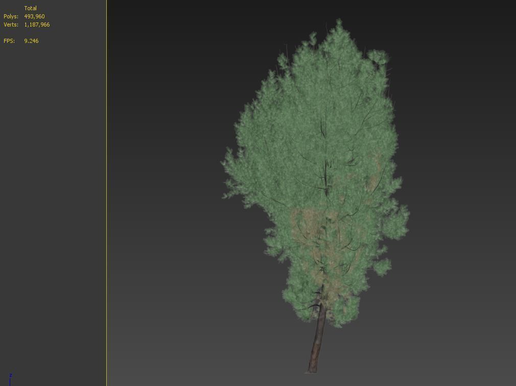 cypress tree 6 3D model_7