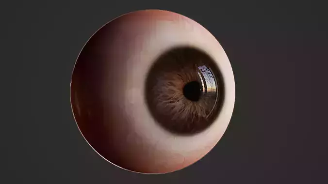Realistic Human eye Low-poly 3D model