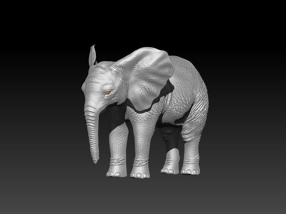 Fur Baby Elephant Rigged in Blender Low-poly 3D model_26