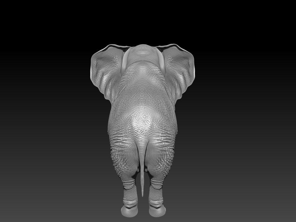 Fur Baby Elephant Rigged in Blender Low-poly 3D model_30