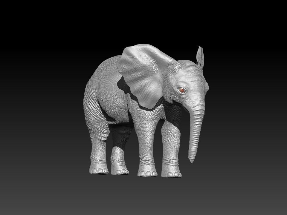 Fur Baby Elephant Rigged in Blender Low-poly 3D model_27