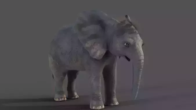 Fur Baby Elephant NO Rigged in Blender