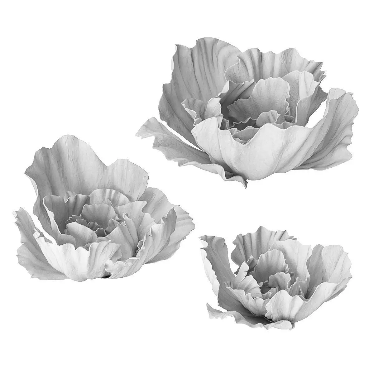 Gypsum flower 3D model_0