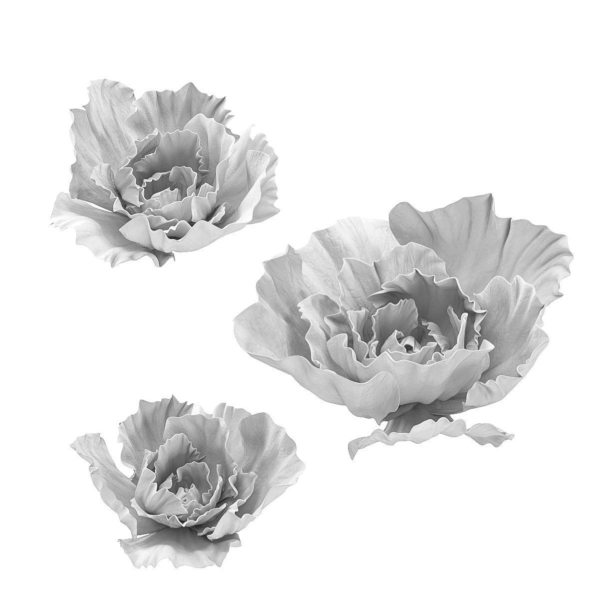 Gypsum flower 3D model_3