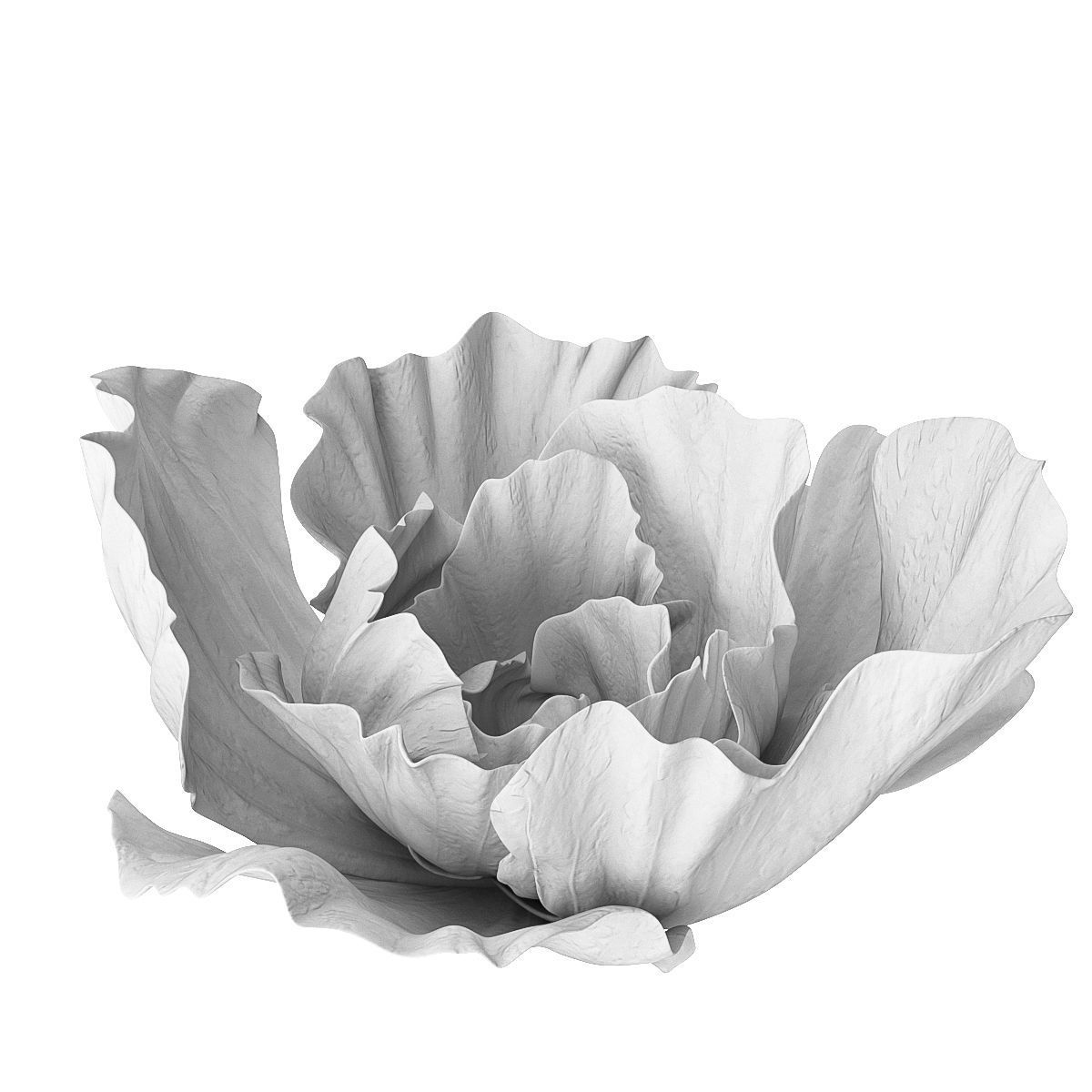 Gypsum flower 3D model_1