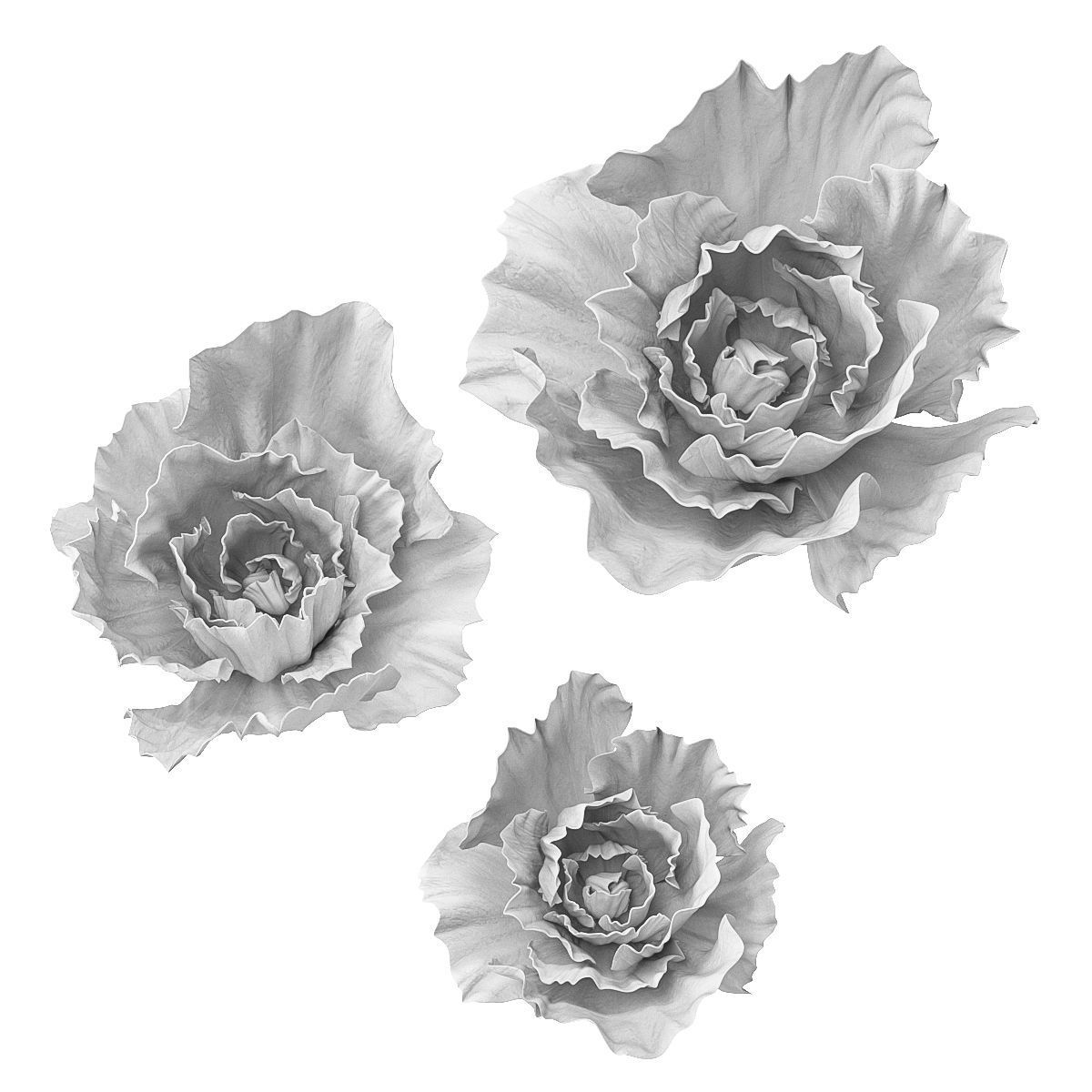 Gypsum flower 3D model_2