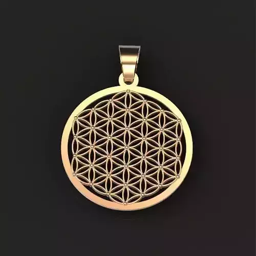 Geometry  Pendant  amulet Flower of Life 438