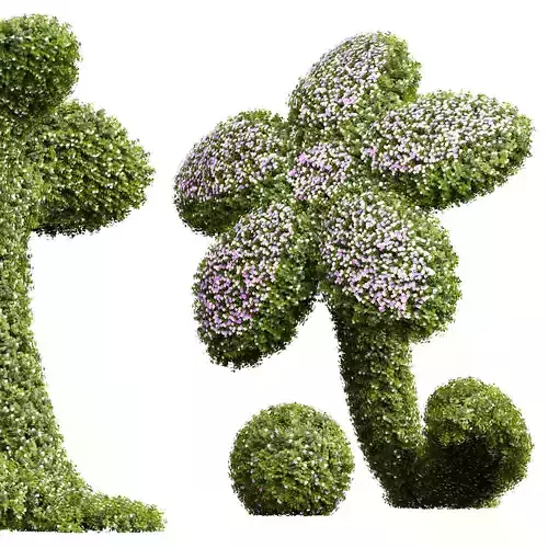 New Plant Bacopa Diffusa Sutera Decorative 3D model