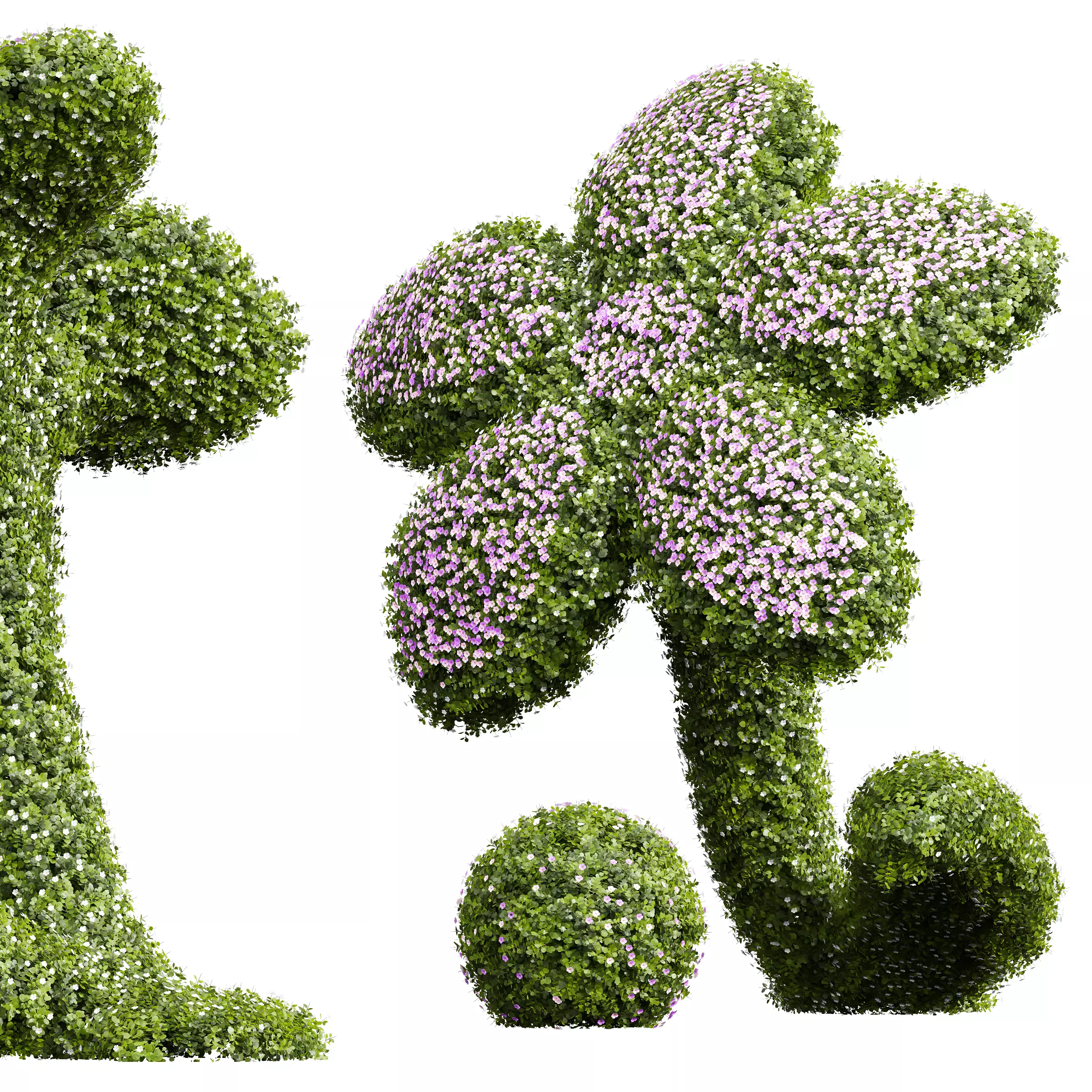 New Plant Bacopa Diffusa Sutera Decorative 3D model_0