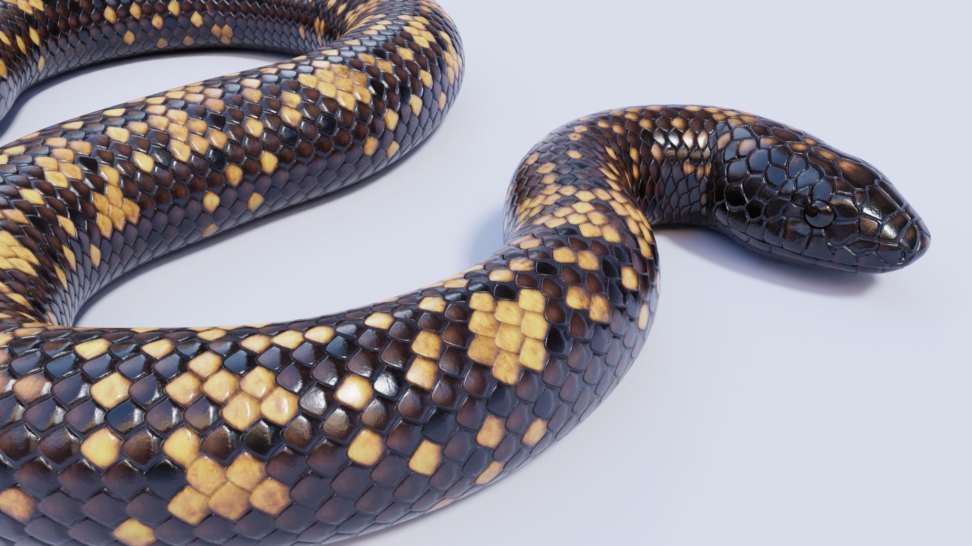 3D model Animated Calabar Python VR / AR / low-poly | CGTrader