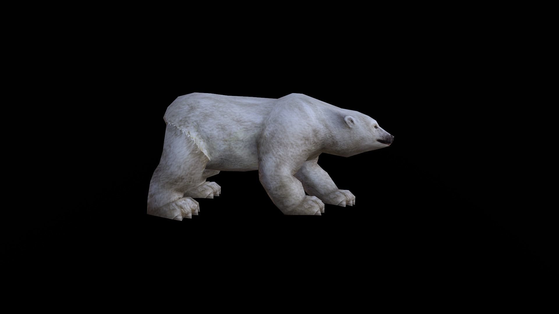 low-poly animated polar bear Low-poly 3D model_5