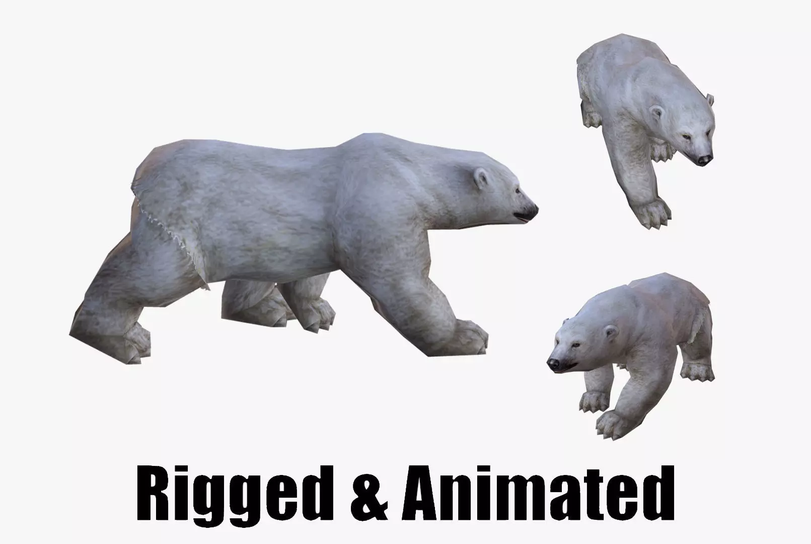 low-poly animated polar bear Low-poly 3D model_0