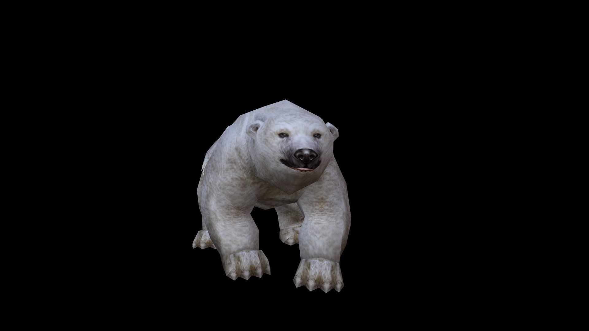 low-poly animated polar bear Low-poly 3D model_6