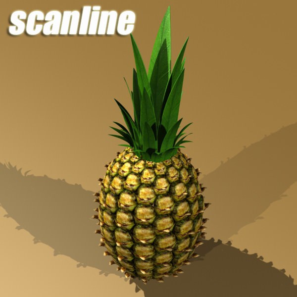 17 Fruits Collection High Res Textures 3D model_77