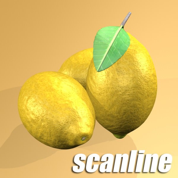 17 Fruits Collection High Res Textures 3D model_51