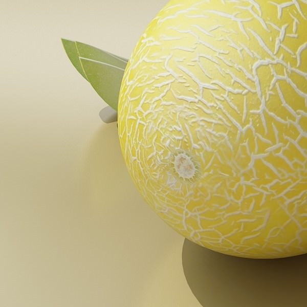 17 Fruits Collection High Res Textures 3D model_55