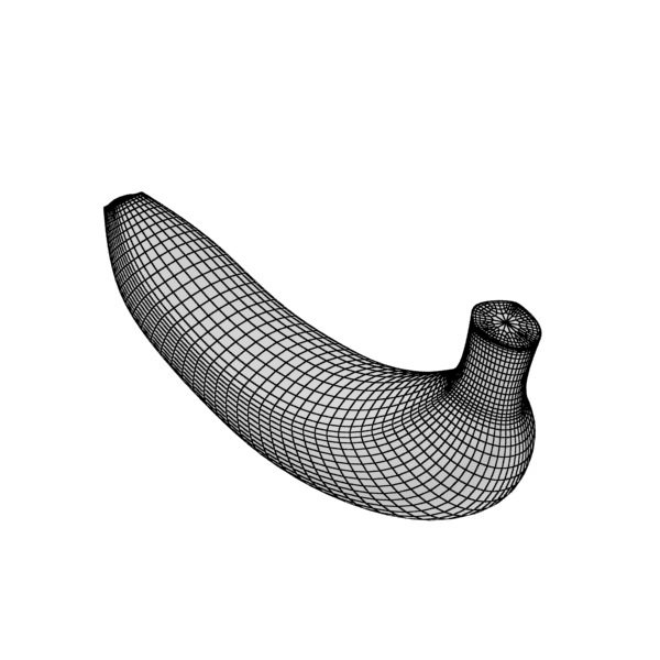 17 Fruits Collection High Res Textures 3D model_22